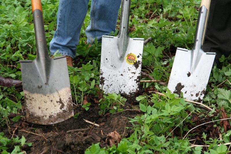 pepiniere-LA TRINITE-min_work-lawn-flower-tool-green-backyard-1103633-pxhere.com